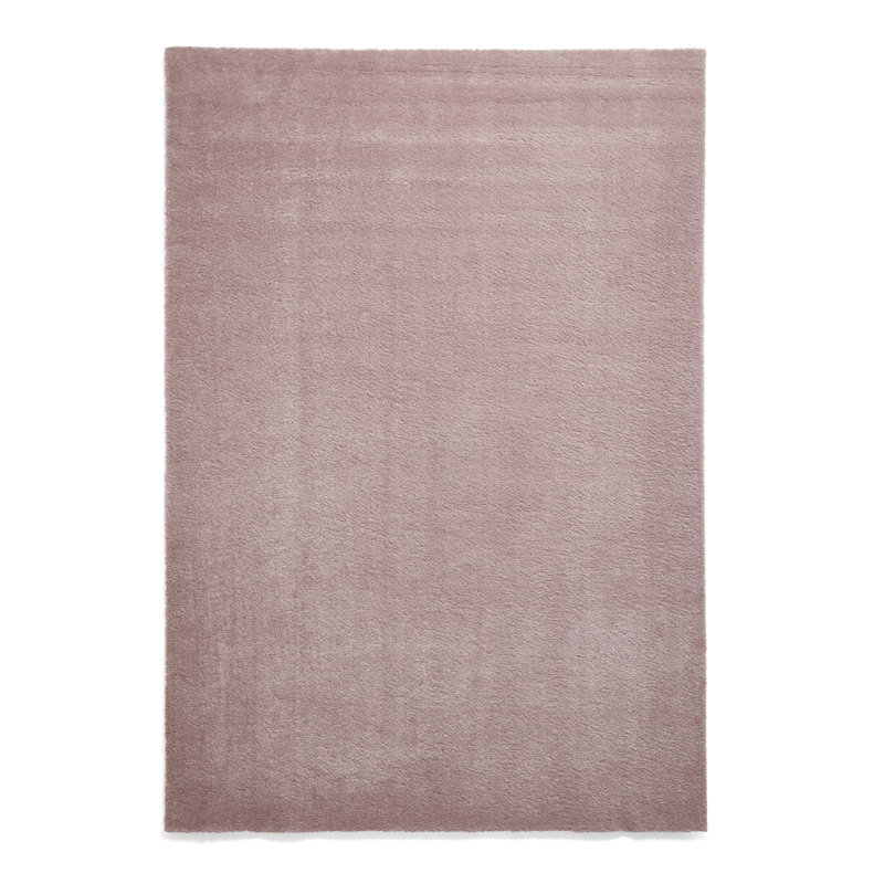 Luzer area rug Machine Woven Rectangle Rose, Rectangle 60 x 115cm