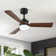 105.92cm Ceiling Fan with LED Lights