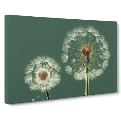Ethereal Dandelion Flowers - Wrapped Canvas Print