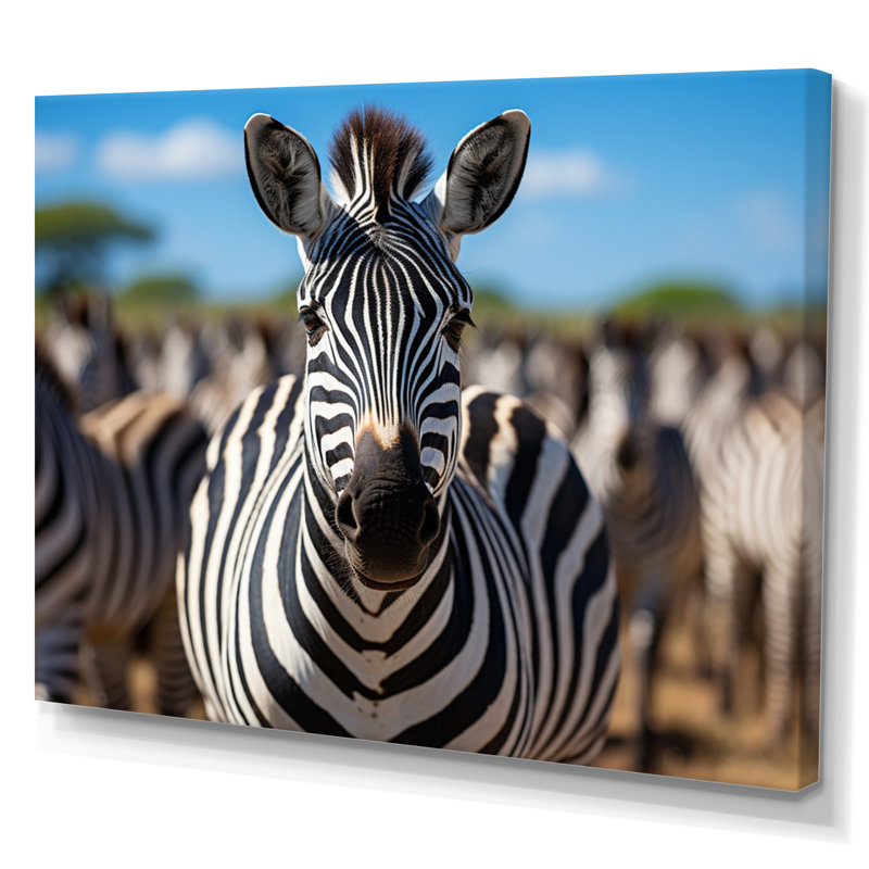 Zèbres d'Afrique, impression sur toile, Toile tendue, H 30 po x l 40 po x P 1,5 po