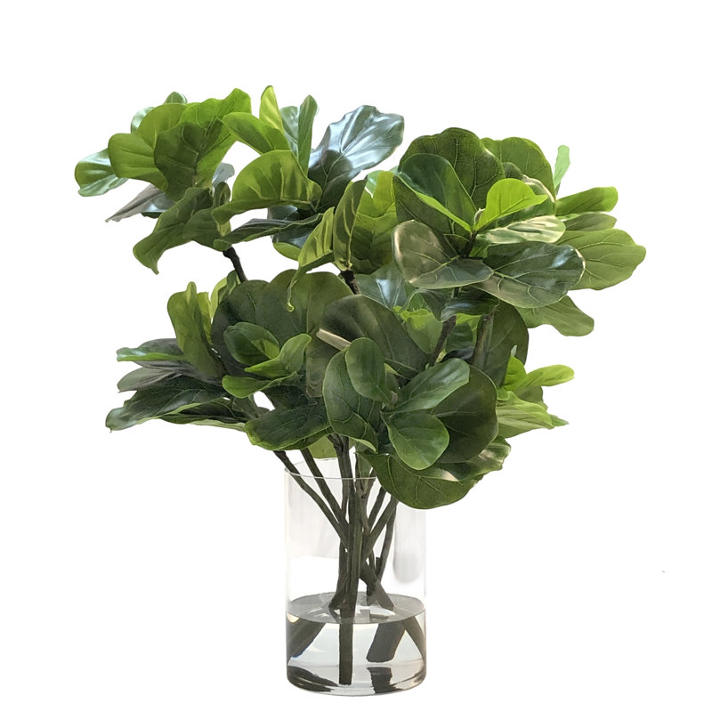 FIDDLE LEAF IN VASE