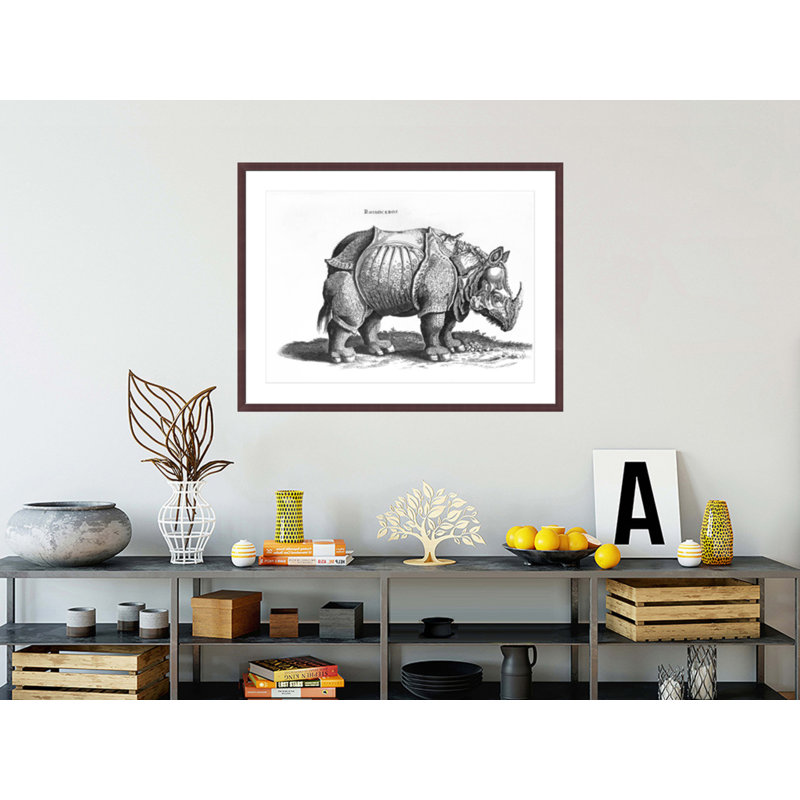 «Rhinoceros no 76» par «historique animal» par Conrad Gesner (1516-65) par Albrecht Dürer, impression giclée encadrée