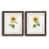 Papier, cadre noyer