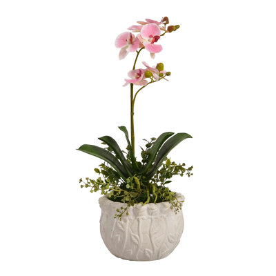 Arrangement floral rose en pot