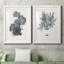 B and W d'intérieur plante III - ensemble de 2 reproductions d'art-1074236538-1090212907-1090214441