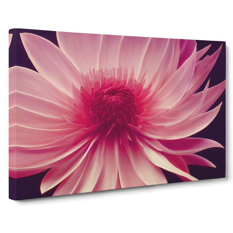 Cute Chrysanthemum Flower Vol.1 - Wrapped Canvas, 50cm H x 76cm W x 3cm D