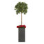 Baker Fibreglass Planter-14486231-26335893