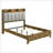 Packard Medium Oak Bookcase Bed