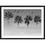 Flock Of Palms Print by Mat Sanders
