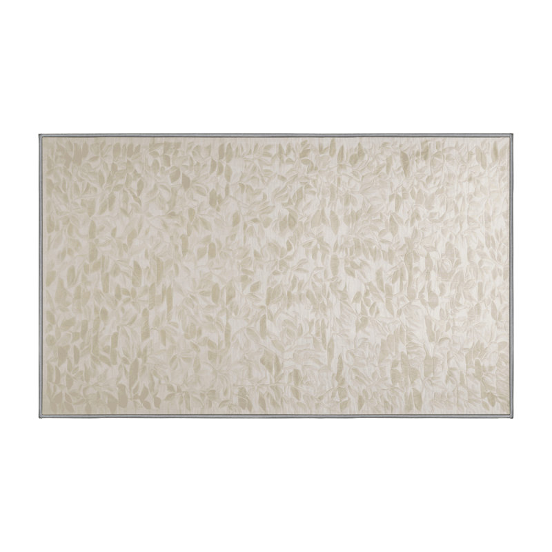 Tapis gris lavable à la machine, Rectangle 4 pi x 6 pi