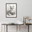 Realistic Fox Portrait Framed Wall Art Prints - Soft detailed fox illustration, for nursery or bedroom-125212073-125212068