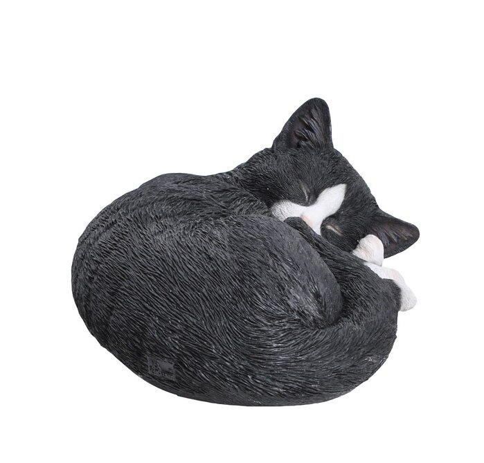 black and white cat sleeping