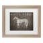 «White Horse With Words» par Ryan Fowler-112843815-112843822