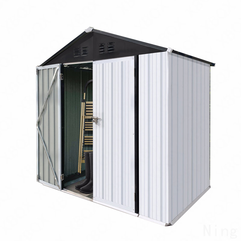 Remise de rangement extérieure pour toit Apex de 6 pi x 4 pi, Noir