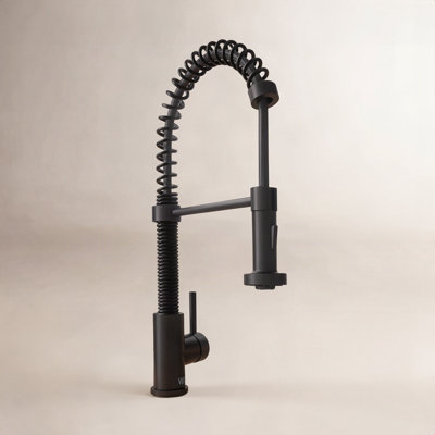 Edison Pull-Down Kitchen Faucet