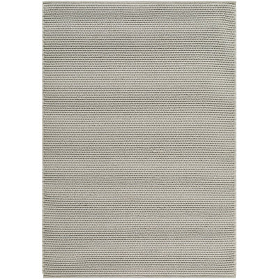Chrispin Hand Woven Area Rug