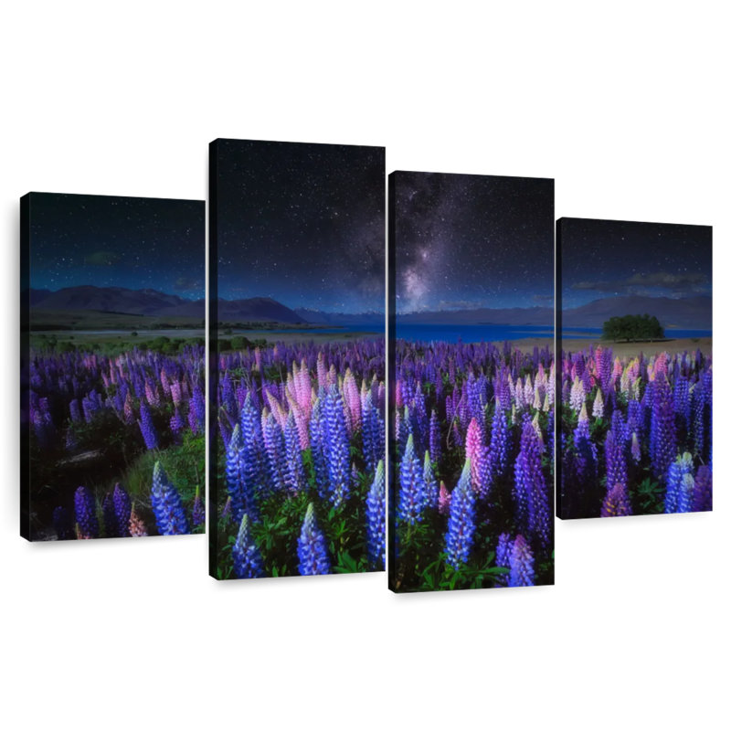 Lupins la nuit