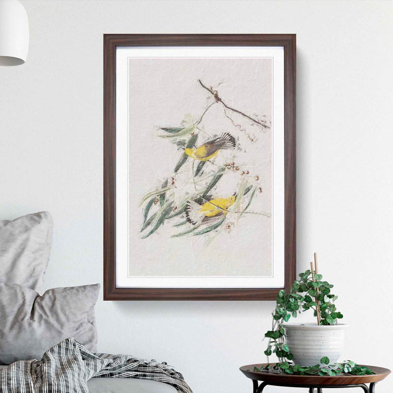 Prothonotary Warbler Birds by John Audubon - Picture Frame Painting Print, 48cm H x 36cm W x 2cm D, Walnut Framed