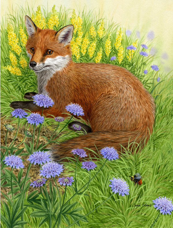 Polyester 40 x 28 po à 2 côtés printemps fox drapeau maison