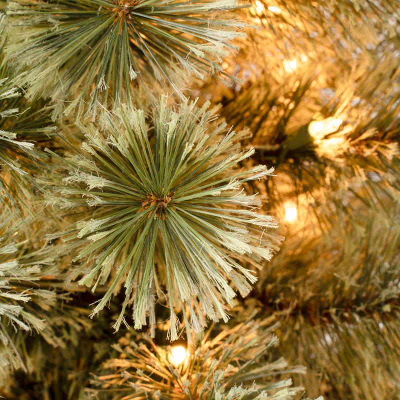 First Traditions'' 6 Ft. Arcadia Cashmere Pine Slim Tree With Clear Lights, 5'10"