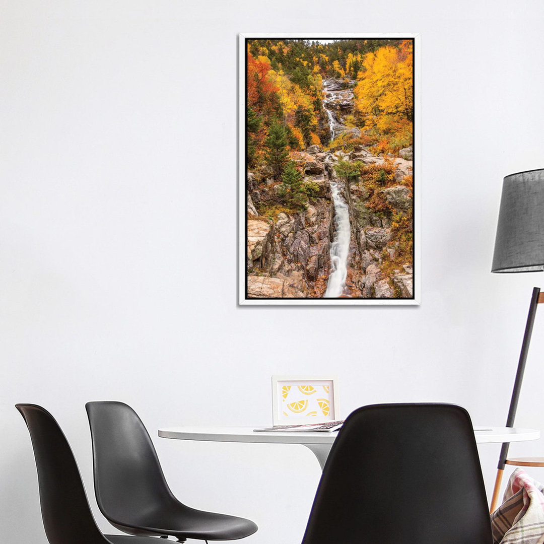 Silver Cascade von Dan Sproul - Galerie-verpackte Leinwand Giclée auf Leinwand