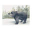 Black Bear Forest II Painting by D’Alessandro Léon-26764240-26764238