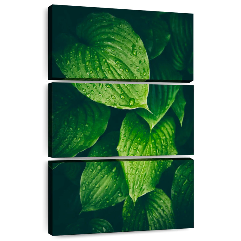 Feuilles vertes trempées Harnek, H 32 po x l 20 po