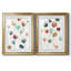 «Lollipop Garden I», ensemble de 2 impressions-792062814-791897406-726507556