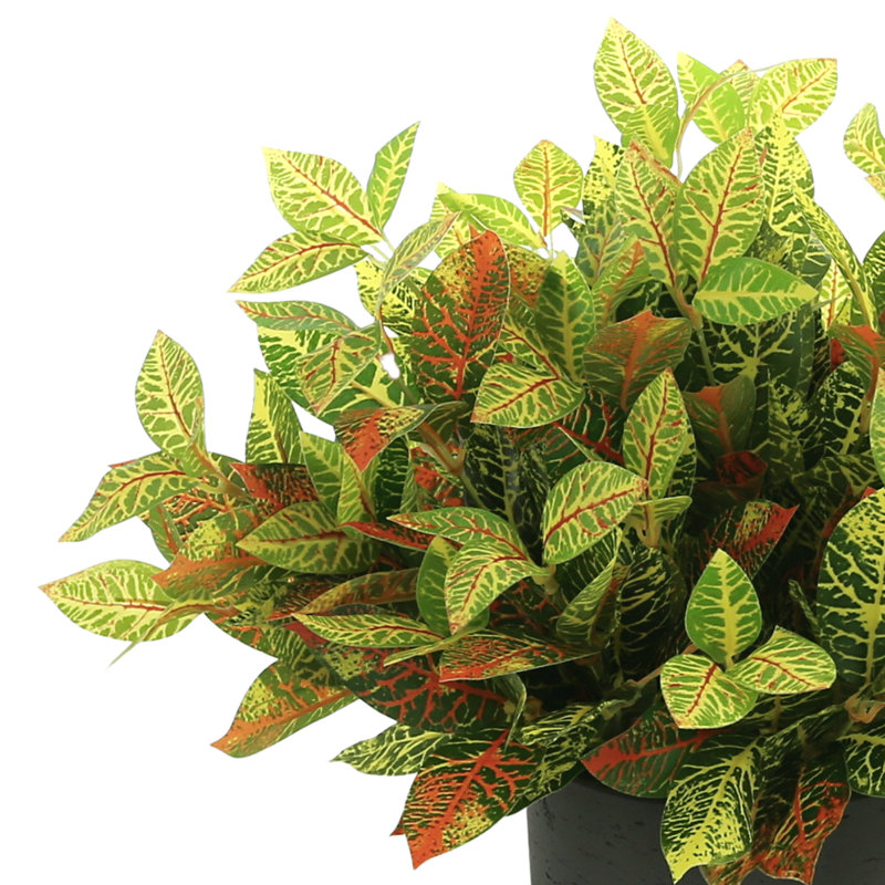 Arrangement d'extérieur Kamila Croton Bush dans un pot en fibre de pierre Kamila, H 18 po x l 21 po x P 21 po