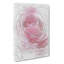 Pink Rose Petals in Abstract - Wrapped Canvas Drawing - Wrapped Canvas-55339649