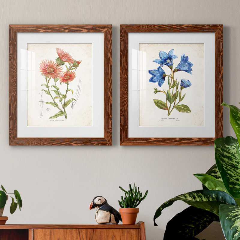 «Botanical I», ensemble de 2 reproductions d'art, H 24 po x l 36 po x P 1,5 po, Papier avec cadre érable, Blanc