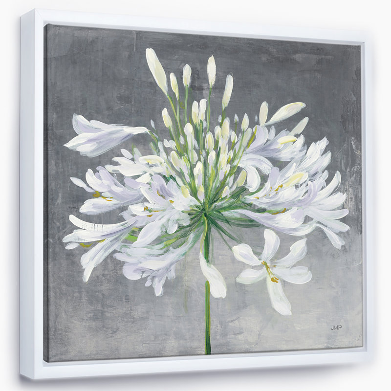 « fleur cleome splash i » traditionnel, reproduction d’impression sur toile encadrée, H 46 po x l 46 po x P 1,5 po