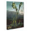 Bog Plants by R.J. Thornton - Wrapped Canvas Painting-55362027
