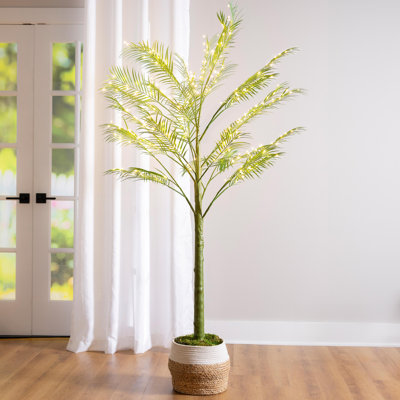 Indoor/Outdoor LED Palm Tree 6'