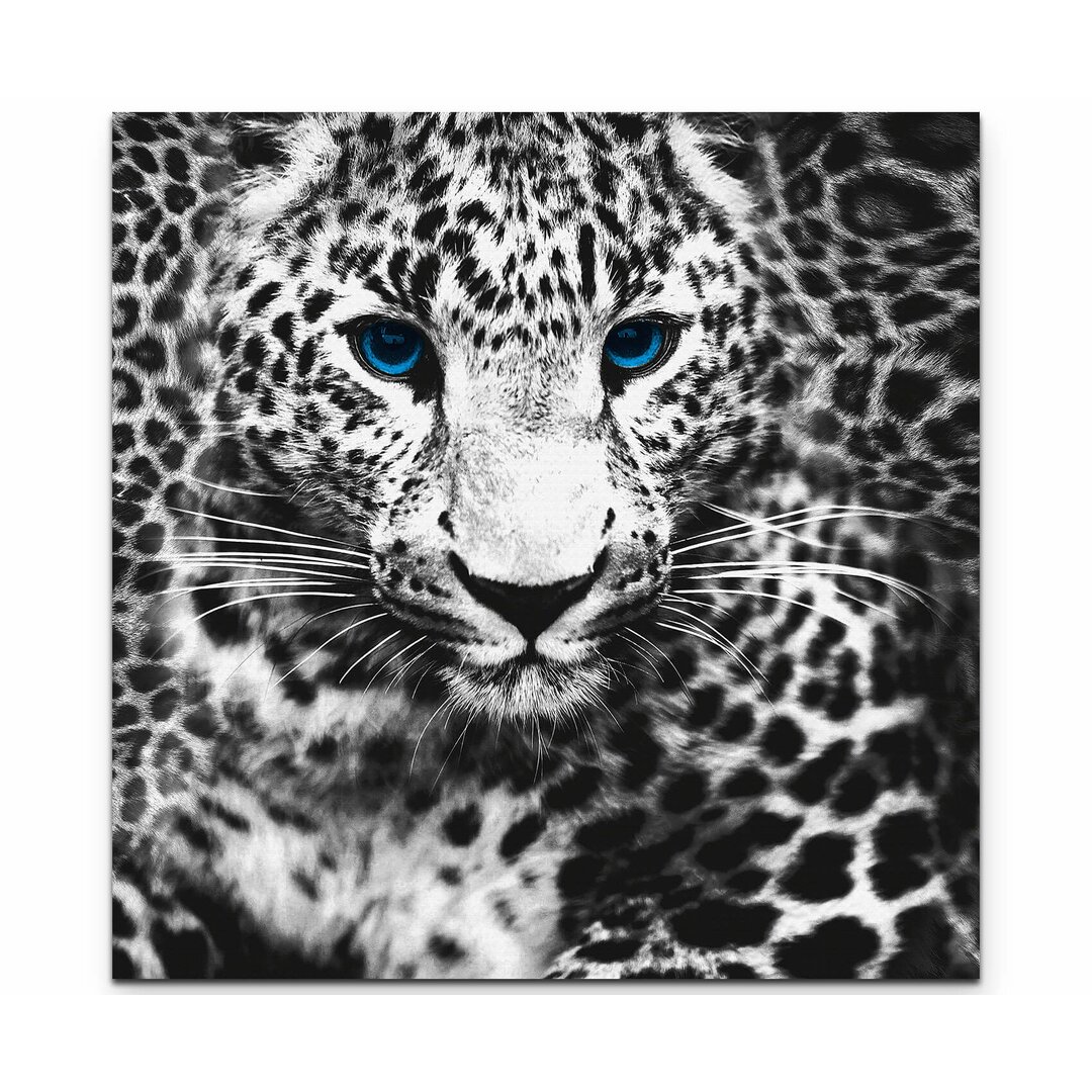 Leinwandbild "Fotografie weißer Leopard mit blauen Augen"