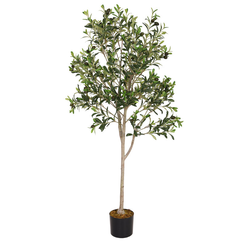 Arbre artificiel en pot Aarav, H 60 po x l 25,5 po x P 25,5 po