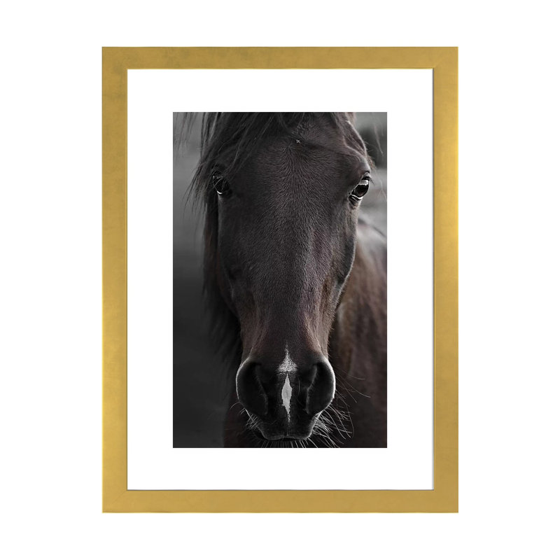 Imprimé cheval foncé par Monika Strigel, Papier encadré doré, Blanc, H 24 po x l 16 po x P 1 po