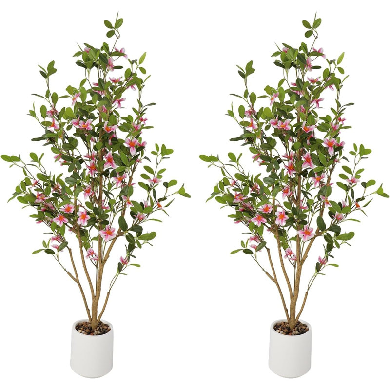 120cm Plant