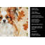 Serviette de cuisine blanche et rouge Papillon-2083472895