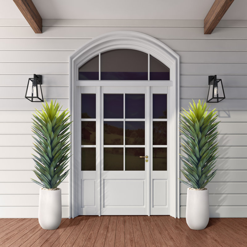 Indoor Outdoor Agave Sisalana in Tall White Planter