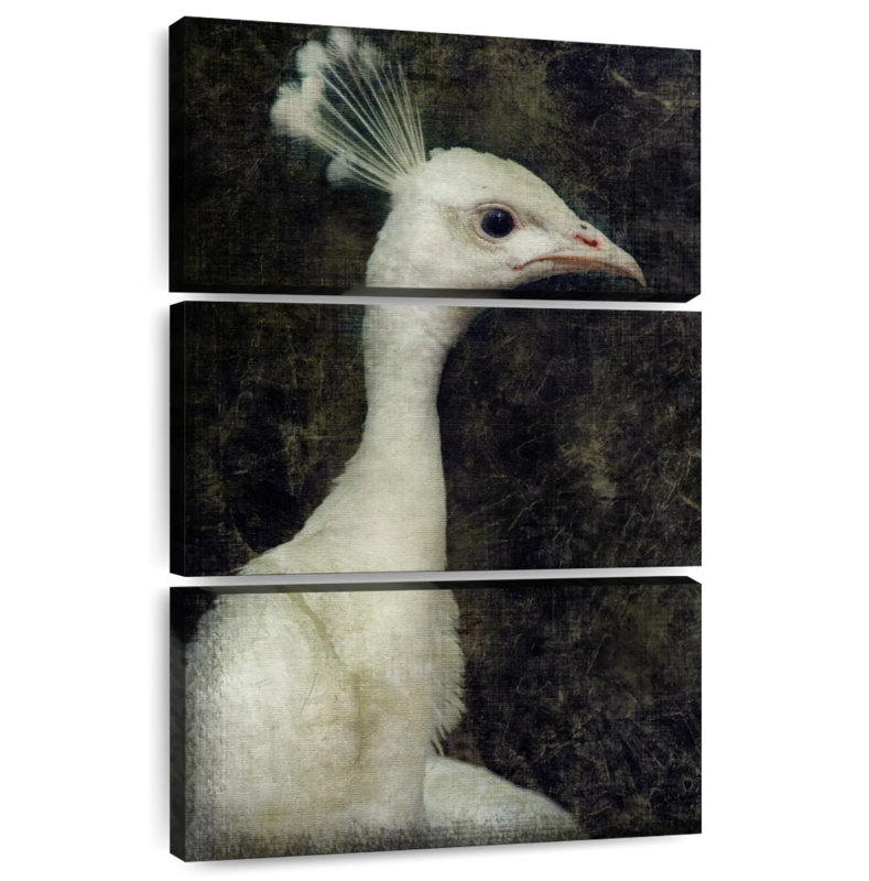 Brampt White Peacock, 74" H x 48" W