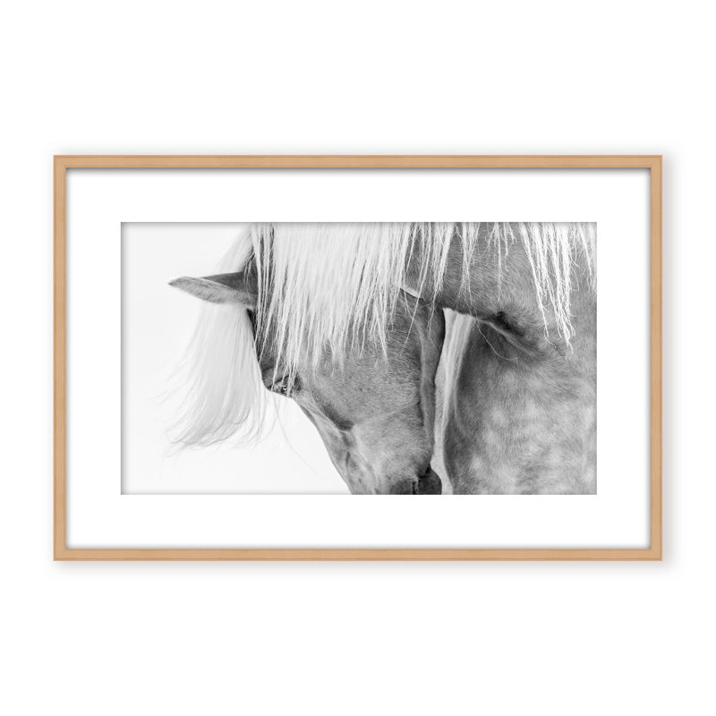 Nature Inspired Halflinger Portrait by  - Picture Frame Photograph on Paper, 24" H x 36" W x 1.125" D, Black