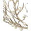 Shinju 6 - Light Chandelier