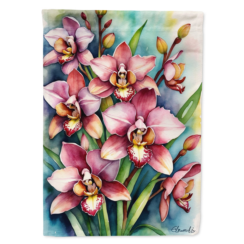 Drapeau d'hypericum ou de millepertuis, Cymbidium orchidées