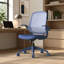  Chaise de bureau ergonomique et pivotante avec accoudoirs rabattables, chaise de bureau en filet avec support lombaire, coussin ignifuge pour le bureau personnel-938250661-938250663