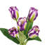 Bouquet de tiges de tulipes artificielles-640320861