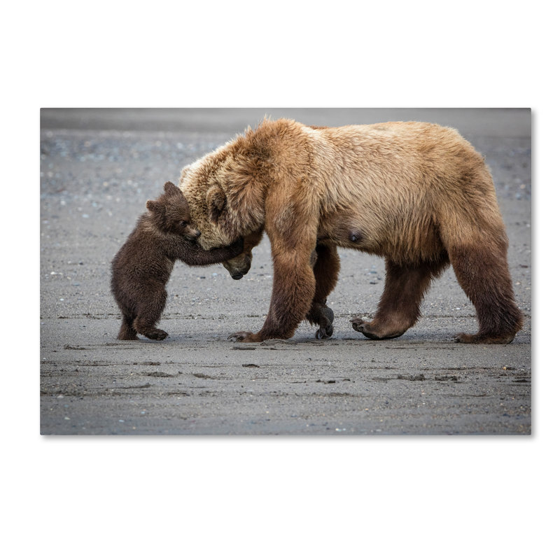 Art mural sur toile tendue - «A Little Bear Hug» de Renee Doyle pour décoration de salon, de chambre à coucher ou de bureau - 16 x 24