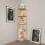 Warne 138cm H x 31cm W Corner Bookcase