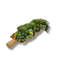 Conception succulente dans un vase en bois de noyer naturel en forme de feuille