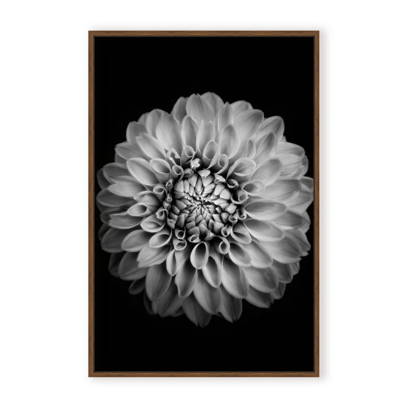Nature Inspired Marigold by  - Picture Frame Photograph on Paper, 24" H x 16" W x 1.125" D, Black, Framed Matted Print